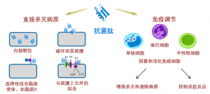 泰倍健——新型免疫增強(qiáng)劑，構(gòu)建核心抗病力